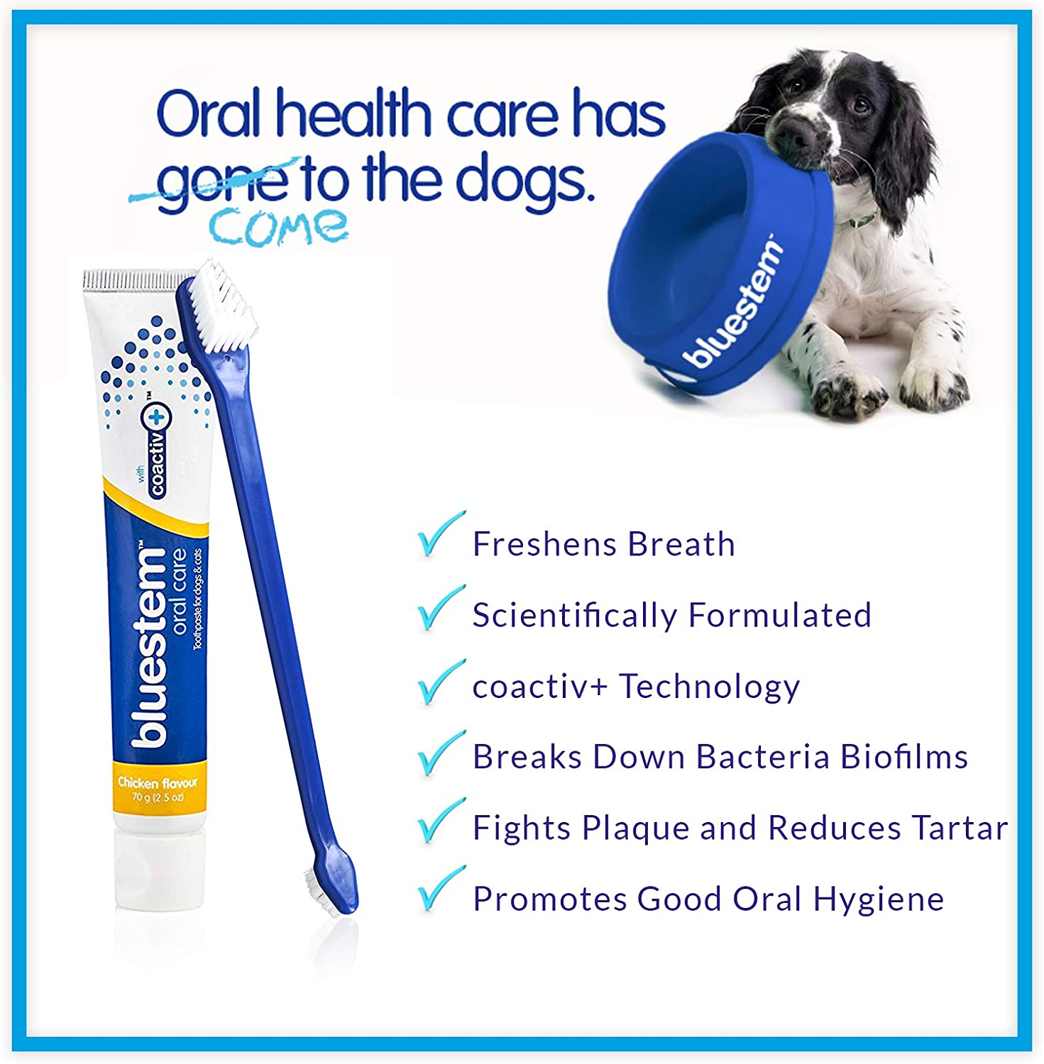 Cepillo de dientes y pasta de dientes para perrosy gatos