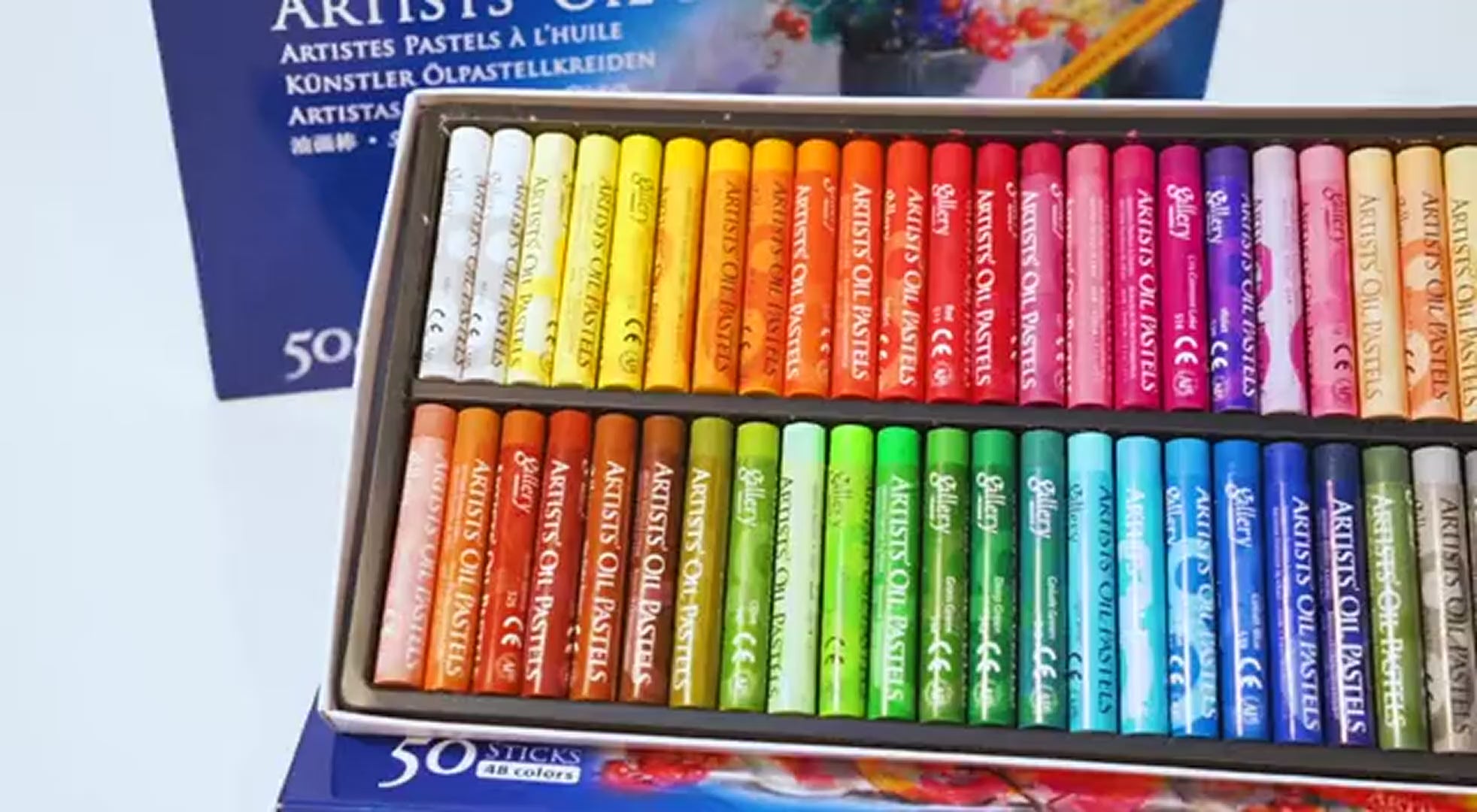 Juego de pintura profesional (50 colores)